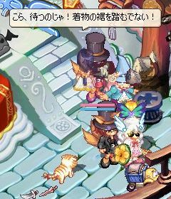 追いかけろー