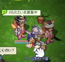 ウール素材